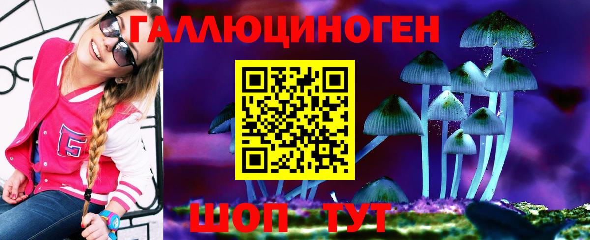 Галлюциногенные грибы Cubensis Знаменск