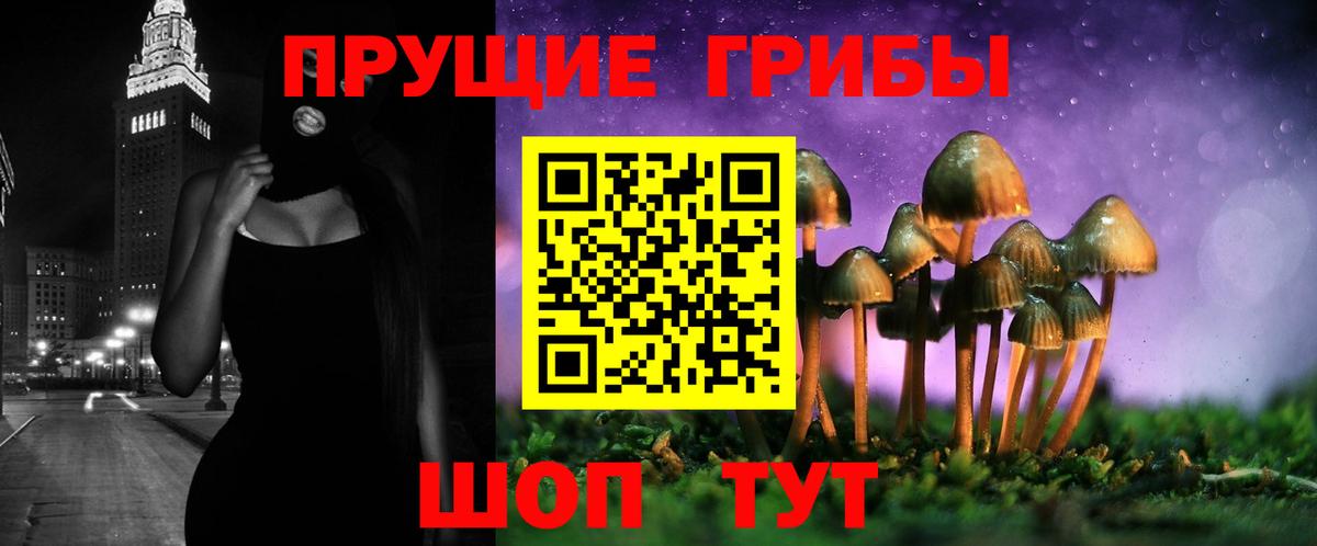 Галлюциногенные грибы GOLDEN TEACHER  Вход с VPN  Галлюциногенные грибы Cubensis  Знаменск 
